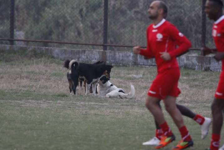 koo__46p8987 [1024x768]